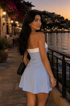 Claret Colorblock Strapless Mini Dress